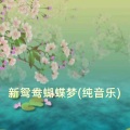 叶源友 - 新鸳鸯蝴蝶梦