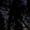 Oxiii - gothseason