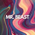 Steven Jay - Mr. Beast
