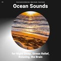 #01 Ocean Sounds for Night Sleep, Stress Relief, Relaxing, the Brain