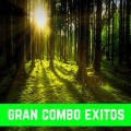 Gran Combo Exitos