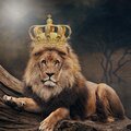 De La Cruz - My African Princess