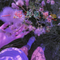 墨晴鸢 - 一起去风里吧