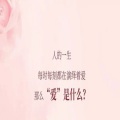 萍儿 - 假如有一天我离开了你