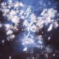 孟纸、惊惊 - 梦遣看花人
