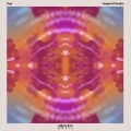 Flynn - Conquest of Paradise