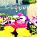 스프링클래식 - 유모레스크
