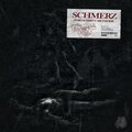 Schmerz fortschritt methode (Explicit)