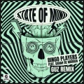 State Of Mind (feat. Sarah de Warren)(Guz Remix)