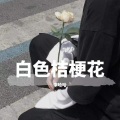 李哈哈 - 白色桔梗花