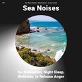 Sea Waves Sounds、Ocean Sounds、Nature Sounds - Nature Sounds for Concentration