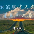 泽亦轩 - 安河桥 (纯音乐) (泽亦轩 remix)