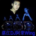 DJ阿荣Wing - 吴川DJ阿清vsDJ阿荣Wing-2022订制中文Electro 串烧A3