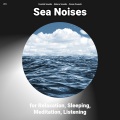 Coastal Sounds、Nature Sounds、Ocean Sounds - Beach Waves Sound Effect for You