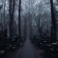 Safir - Graves (Explicit)