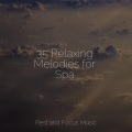 35 Relaxing Melodies for Spa