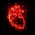 Neon Lights