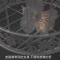 七友 - 我深知我留不住你 所以我不言不语 (Single Version)