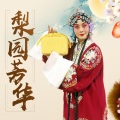 飞悦之声文艺广播 - 马金凤-《花打朝》-小郎门外连声请