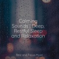 Calming Sounds | Deep, Restful Sleep and Relaxation