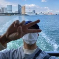 赵狗蛋嘞 - Dolphin