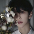 杨阳 - 孤勇