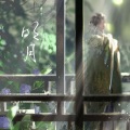 妃颜 - 明月