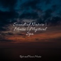 Guided Meditation、Musica Relajante、Buddhist Meditation Music Set - Galaxy Slumber