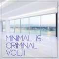Minimal is Criminal, Vol.11