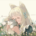 小蔷薇 - 花的嫁纱