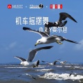 M.R.Y麦尔彦 - 机车摇摆舞