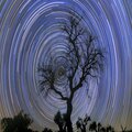 Estrella Del Norte
