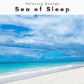 Ocean Currents - Fresh Wave Says Good Night and Good Life part 2