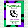 DJT LION THE ANIMAL、Chana Lanez Musiq、Excellia - Seanamarena (feat. Chana lanez musiq & Excellia)