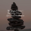 Sounds of Nature White Noise for Mindfulness Meditation and Relaxation、The White Noise Zen & Meditation Sound Lab、Binaural Beats - Silk on Water