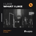 I Like What I Like (Explicit)