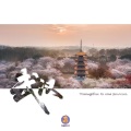 白昼星BZX - 武汉