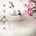 射手别乱来 - 桃花换酒钱