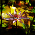 Binaural Beats - A Rainy Day