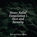 Pro Sound Effects Library、The Relaxation Principle、Namaste Yoga - Trance