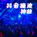 三叶草 - 情意结(DJR7版) - 邓岳章
