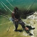 Ян Глори、Melani - Родными