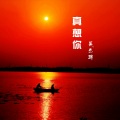 吴杰瑞 - 真想你 (Demo)