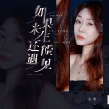 如果来生还能遇见 (女生版)