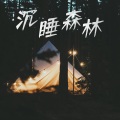 沉睡森林,催眠音乐盒