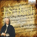 Netherlands Bach Collegium、Pieter Jan Leusink - I. Sonate