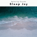 Be Well、Sleep Music Dreams、Focus and Work、Mindful Audio - Dream of Ocean Music Pt. 1 (feat. Sleep Music Dreams Focus and Work & Mindful Audio)