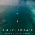 Sonidos De Oceano、Música De Relajación Para Dormir Profundamente、Paz Nirvana - Costas Por La Noche