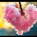 King Grey - Love You