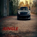 Jungle (feat. Furkan Soysal)(Radio Edit)